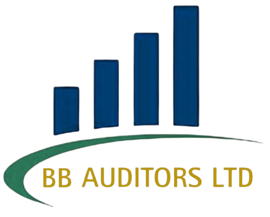 BB Auditors